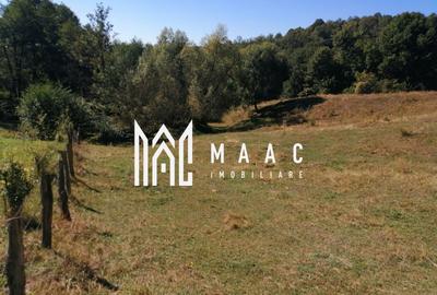 Teren agricol extravilan de 20000 mp, în Stoenești - 10