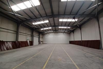 Hala Industriala Colentina- Soseaua Andronache - 2