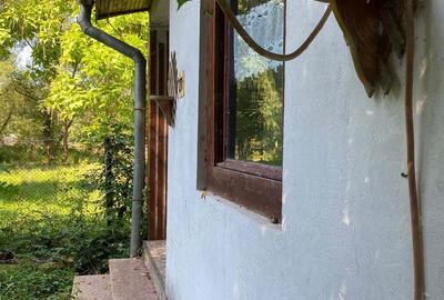 Casă cu 5 camere în Avram Iancu (Vârfurile) - 9