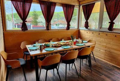 Casă cu Teren 7851 Mp în Măgura - 5