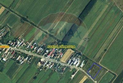 DE VANZARE Teren intravilan Dambovita Urziceanca Ciocanesti - 7