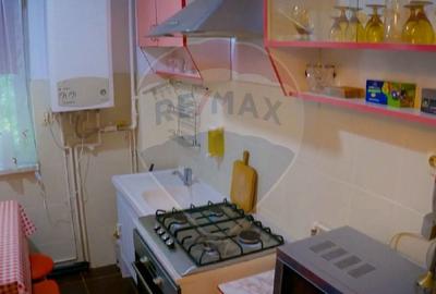 Apartament cu 2 camere de inchiriat in Deva - 12