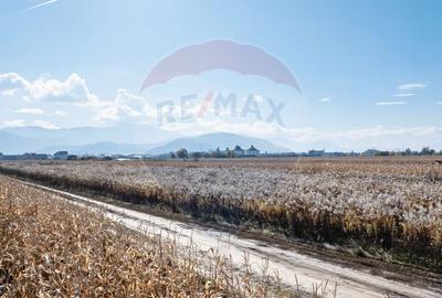 Teren Brasov -Strada Aron Pumnul, 520-1040-2600 mp, 5 loturi - 4