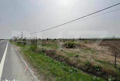 Teren de 10763 mp, în Coțofenii din Față - 4