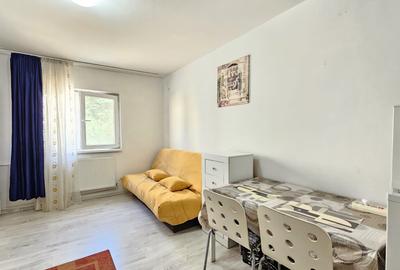 Garsonieră semidecomandată în Ozana - 2