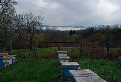 Casă cu 2 camere în Vârfurile - 4