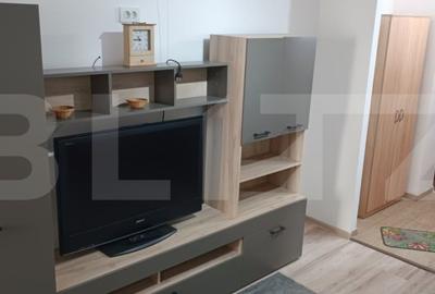 Garsonieră decomandată, mobilată în Alexandru cel Bun - 1