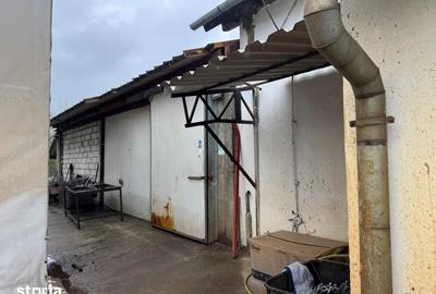 Spațiu comercial, de 1,056 mp, în Cristian - 5