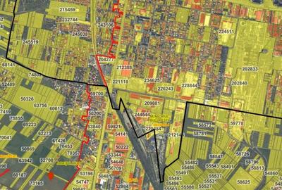 Teren intravilan neimprejmuit CF 74818, 4451mp - 7