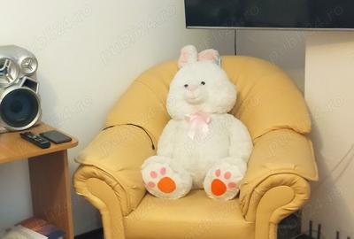 VAND Apartament 2 Camere ocazie unica - 4