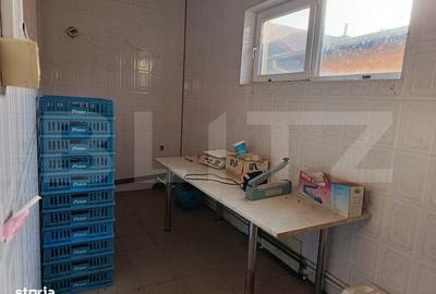 Spațiu comercial, de 300 mp, în Filipeștii de Pădure - 16
