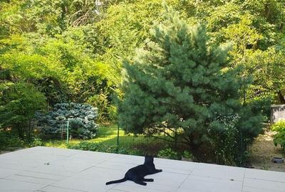 Vanzare vila 5 camere | Langa padure | Bucuresti | Baneasa - 3