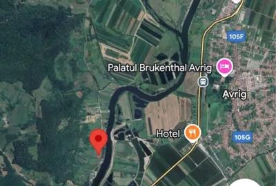 Teren Construcții extravilan de 7500 mp, în Bradu - 2