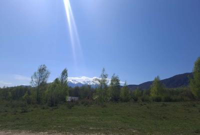 Teren de 500 mp, în Predeluț - 3