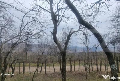 Teren în Schiulești - 16