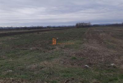 Teren Construcții intravilan de 5000 mp, în Vadu Pașii - 1