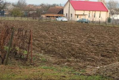 Casa de vanzare Casa de vanzare - 4