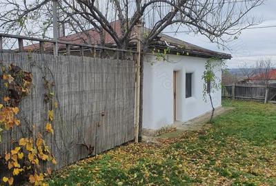 Teren si casa de vacanta ecologica in Stancesti - 1