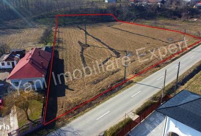 Spațiu comercial, în Valea Brazilor - 6