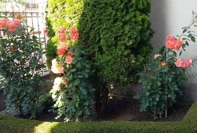 🏡 Casă solidă, spațioasă și versatilă în zona centrală, Sânnicolau Mare - 14