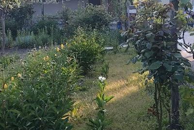 Casă cu 2 camere în Drăgănești - 3