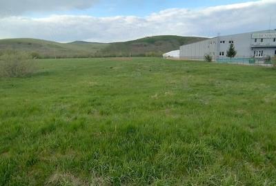 Teren de 4653 mp, în Căpușu Mare - 5