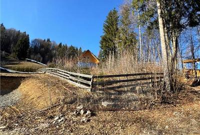 Casă cu 4 camere cu Teren 1500 Mp în Horea - 8