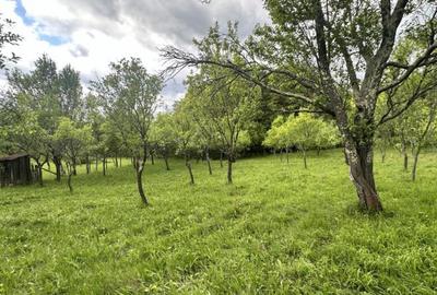 Teren intravilan 3102mp zona Racovita-Blanoiu - 3