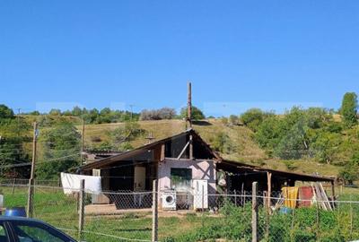 Stana 17.000 mp, Boldesti-Scaeni - 1