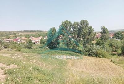 Teren intravilan, 3000 mp, în Corușu!