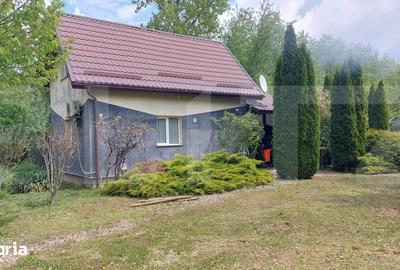 Casă cu 2 camere cu Teren 8570 Mp în Chichiș - 2