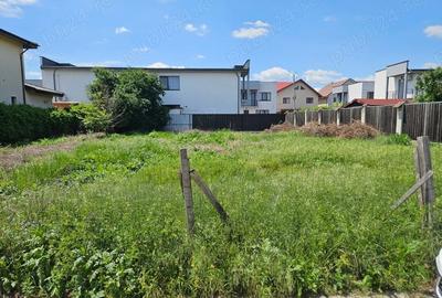 Spațiu comercial, în Domnești