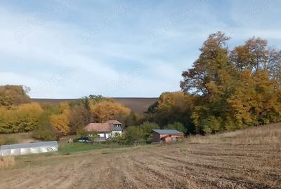 Casă cu 3 camere cu Teren 35000 Mp în Central - 1