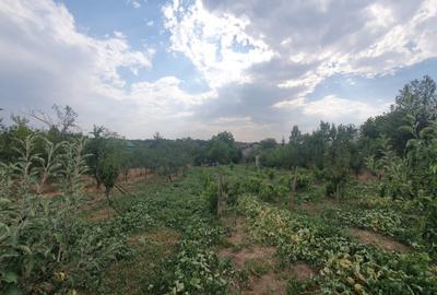 Teren Construcții intravilan de 1100 mp, în Podu Ilfovățului - 2