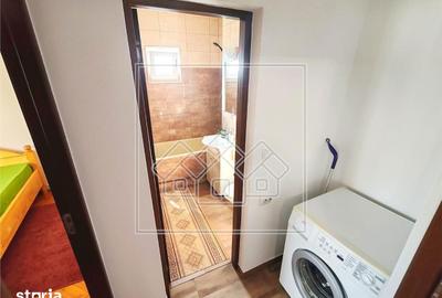 Apartament cu 2 camere decomandat în Turnișor - 8