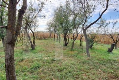 Casa zona Madaras - 2