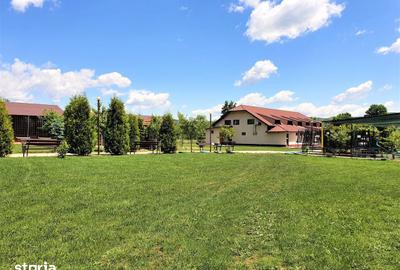 Spațiu comercial, de 15,000 mp, în Pietroșani - 17