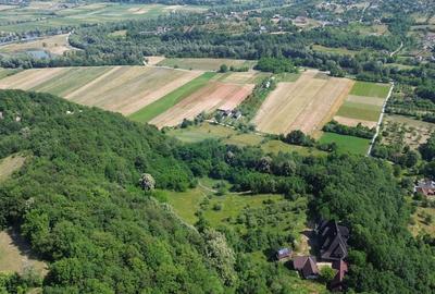 Casă cu 10 camere cu Teren 24700 Mp în Berchezoaia - 12