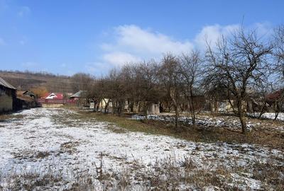 Casă cu 3 camere în Orășa - 4