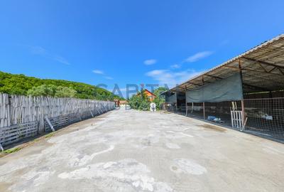 Teren intravilan, 10.000 mp, Imprejmuit+ drum privat+cladire de birouri, Dej - 21