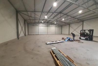 Hala noua in zona Gara Catelu, Drumul Intre Tarlale - 4