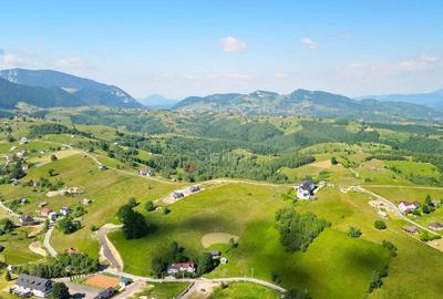 Teren de 13000 mp, în Șirnea - 12