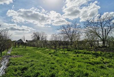 Spațiu comercial, în Central