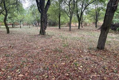 Casa la tara , Dambovita . - 5