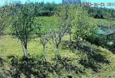 Casă cu Teren 2440 Mp în Peștera - 5