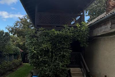 Casa de vinificatie in Viile Tieamului Carei - 9