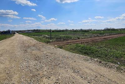 Spațiu comercial, în Piscu - 3