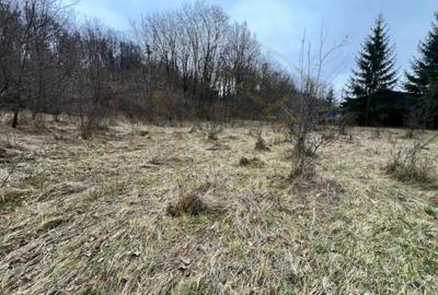 Teren de 6500 mp, în Morărești - 3