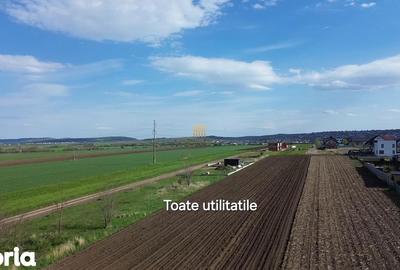 Teren de 3498 mp, în Ipotești - 4