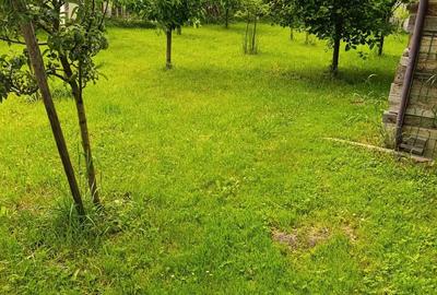 Casă cu 6 camere în Alexandru cel Bun - 2